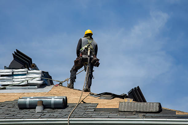 Professional Roofing technician working in Plum, TX